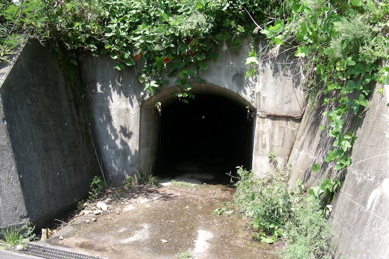 かのせ温泉 赤湯 新潟県阿賀町 磐越西線 津川駅