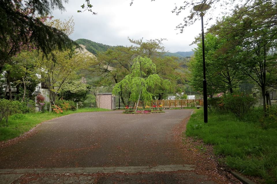 咲花きなせ堤河床