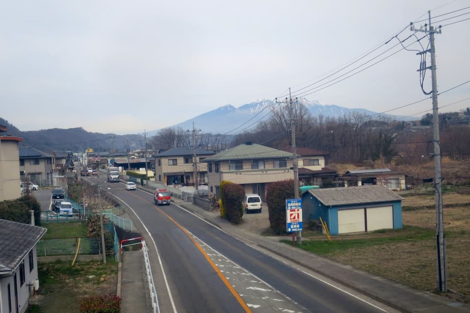 ゆーぷるにらさき