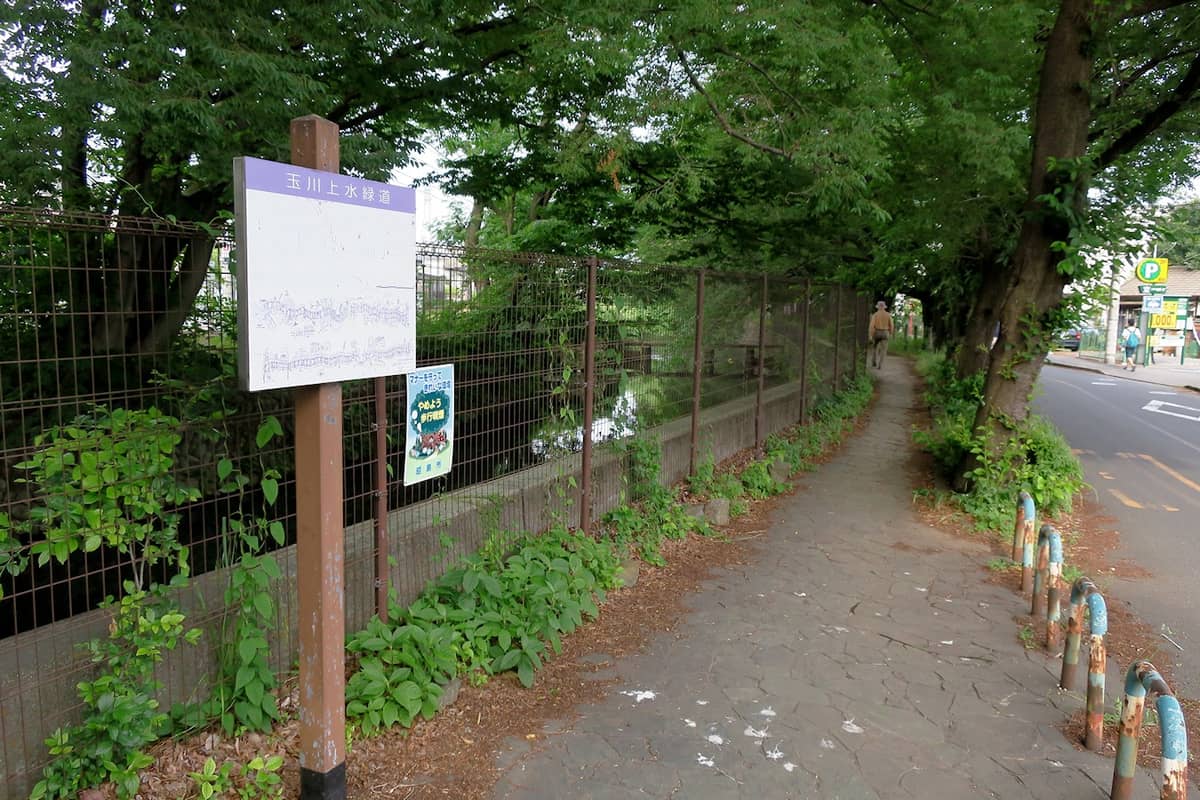 玉川上水緑地
