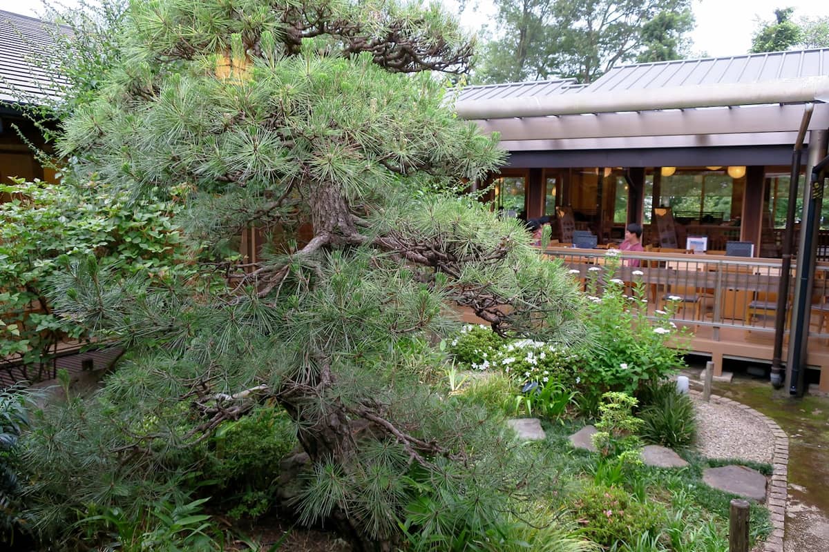 昭島温泉 湯楽の里