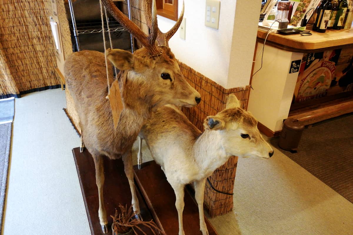 中三依温泉 男鹿の湯