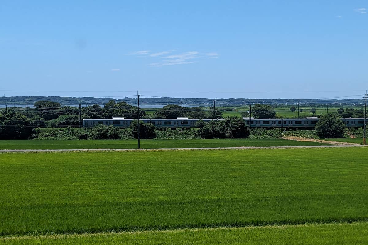 成田の命泉 大和の湯